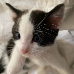 Meet your Posher, Aaliyah